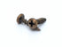 Cinergy Audio #6 x 5/8" Pan Head Weathered Brass Speaker Screws 50 Pcs.
