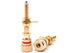 Cinergy Audio BP-G20 Gold Binding Posts