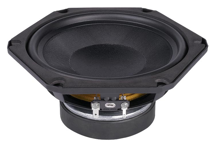 FaitalPro 6FE100 woofer used in DIY speaker kits.