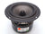 A 5 inch midbass woofer from HiVi called the S5N.