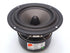 A 5 inch midbass woofer from HiVi called the S5N.